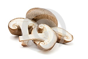 Shitake Mushrooms photo