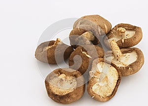 Shitake mushrooms 4