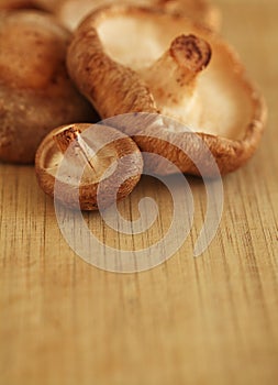 Shitake mushrooms on a cutting board, copy space