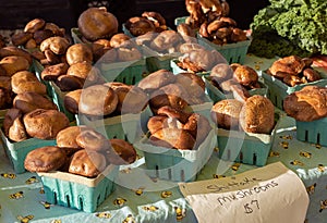 Shittake mushrooms for sale at a local outdoor market photo