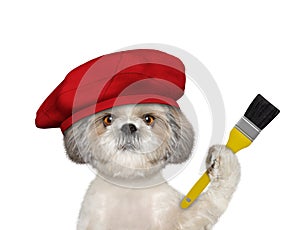 Shitzu dog as a painter with a brush. Isolated on white