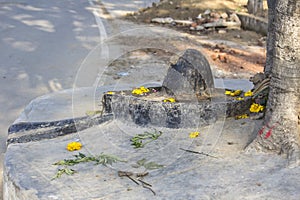 Shiva-Lingam