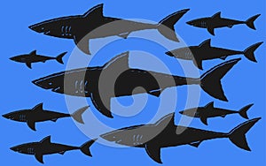 A shiver of sharks outline shape silhouette against a blue backdrop