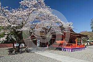 Shizuoka, Japan - April 4, 2019: Fujisan HongÃÂ« Sengen Taisha in Springtime, Japan