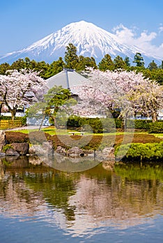 Shizuoka, Japan with Mt. Fuji in Spring
