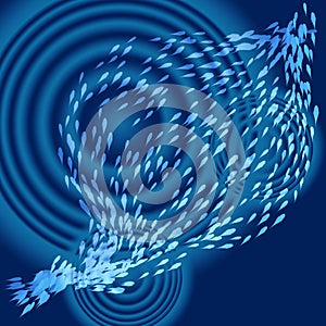 Shoal of fish