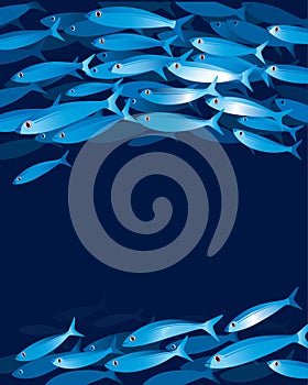 Shoal of fishes