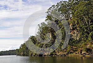 Shoalhaven River scene