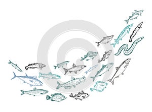 Shoaling fish graphic sketch, vector illustration photo
