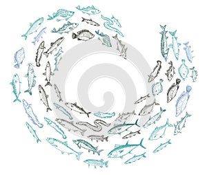 Shoaling fish graphic vector illustration photo