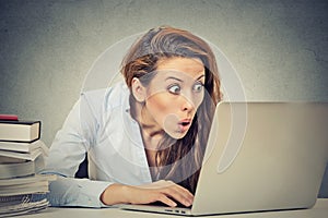 Ritratto di giovane scioccato donna d'affari, seduta davanti al computer portatile guardando schermo, isolato, grigio, parete di fondo.