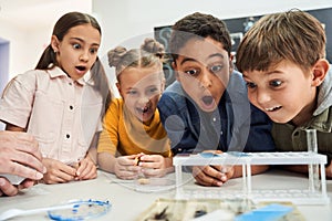 Shocked children with surprised and delighted emotions