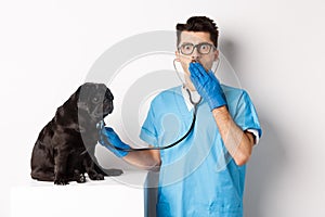 Shocked doctor in vet clinic examining dog with stethoscope, gasping amazed at camera while cute black pug sitting still