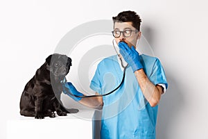 Shocked doctor in vet clinic examining dog with stethoscope, gasping amazed while cute black pug sitting still on table