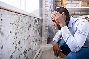 Shocked Man Looking At Mold On Wall