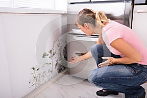 Shocked Woman Looking At Mold On Wall photo