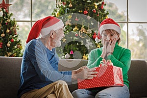 Shocked woman receiving present from husband