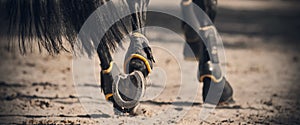 The shod hooves of a black horse galloping across the sand