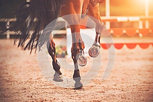 The shod hooves of a galloping bay horse step on the sand of an outdoor arena at equestrian competitions. Equestrian sports