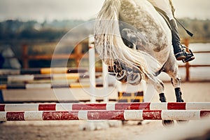 The shod hooves of a horse over an obstacle. The horse overcomes an obstacle. Equestrian sport, jumping. Overcome obstacles