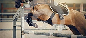 The shod hooves of a horse over an obstacle. The horse overcomes an obstacle. Equestrian sport, jumping. Overcome obstacles