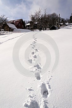 Shoe footprint in fresh snow on empty ski slope, winter snowy landscape on sunny day, white copy space, new year resolution