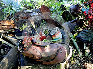 Shoe Garden