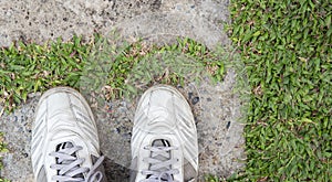 Shoe on pathway garden.