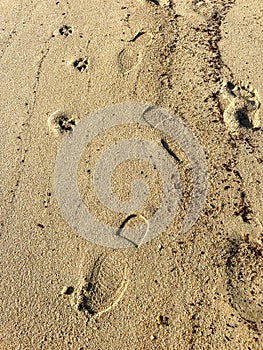 Shoe prints on the sand of the beach in Sarti, Greece