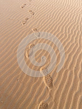 Shoe prints on a sand dune in the Sahara Desert, Merzouga