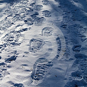 Shoe prints in the snow