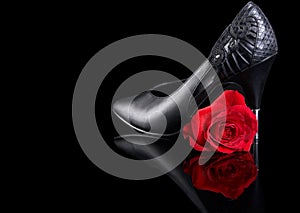 Shoe and rose