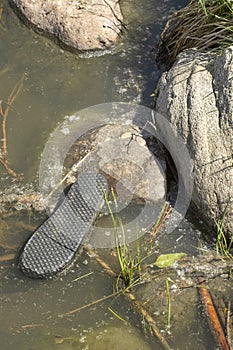 Shoe sole at edge of lake or pond