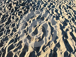 shoe track footprints beach dirt sand tracks sandy footprint feet coast shore