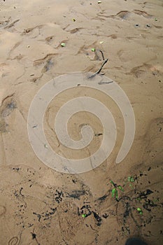 Shoe tracks, impression in the sand, in the sludge, morass
