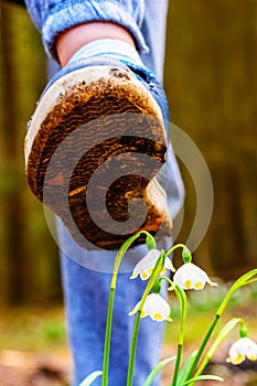 Shoe treading on a flower in grass