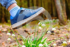 Shoe treading on a flower in grass