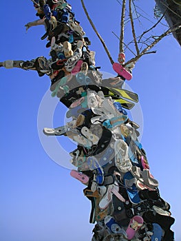 Shoe tree