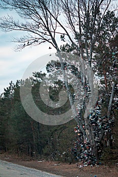 Shoe tree along 131 in Michigan