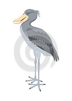 Shoebill stork or Balaeniceps rex isolated on a white background. Vector illustration in flat style