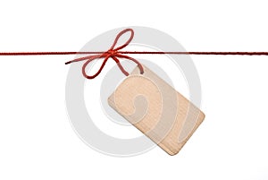 Shoelace with cardboard tag