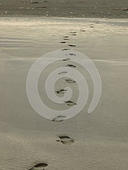 Shoeprint on the black sand beach