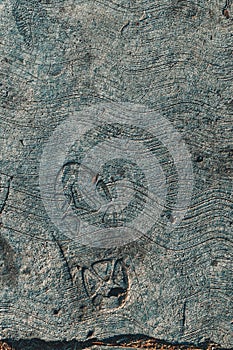 Shoeprint in concrete flooring