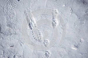 Shoeprints in snow. walking in the snow. footprints in the snow. Light gray and white background.