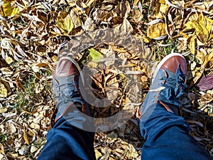shoes and autumn leaves photo