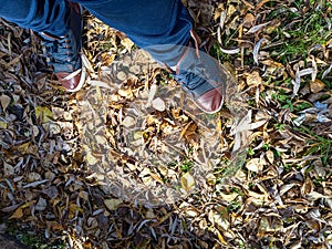 Shoes and autumn leaves photo
