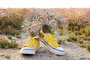 Shoes with beautiful wild flowers in meadow