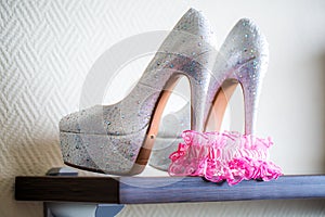 Shoes and Bridal pink Garter