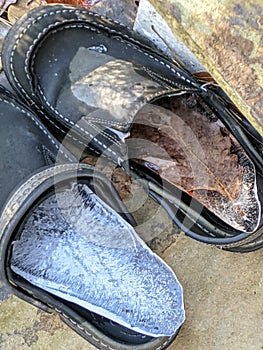 Shoes Left on Porch in Winter Frozen Ice