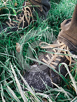 Shoes standing among-st early morning frost covered grass